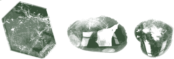 Historische Pflanzenzeichnung: Bergkristall