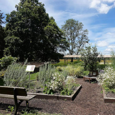 Hildegard Kräutergarten
