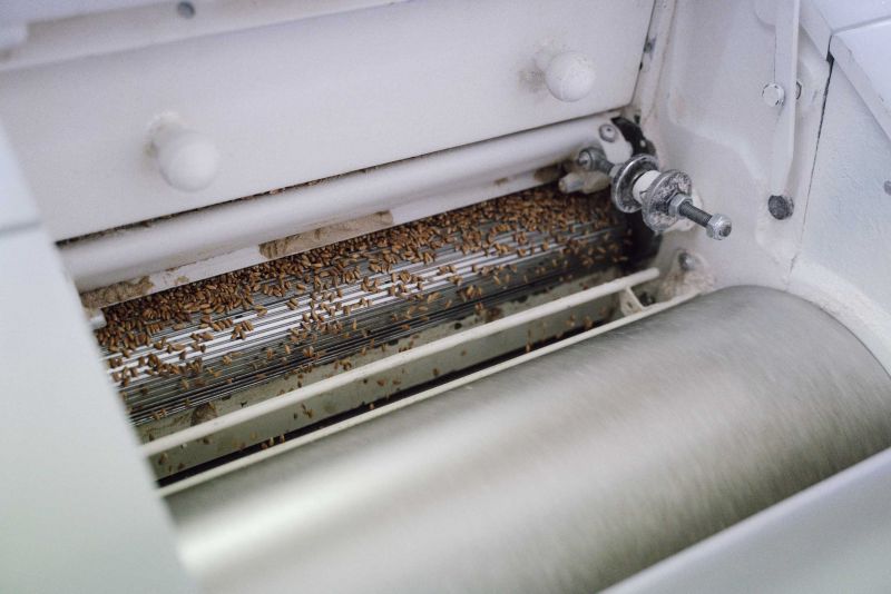 Fluted rollers of a roller mill with spelt